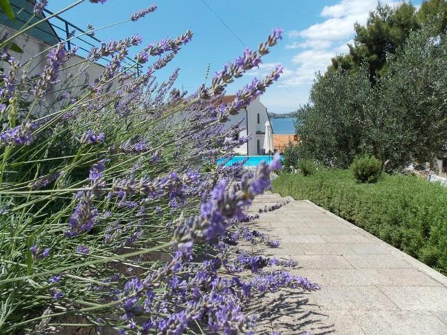 Apartments Villa Goja Trogir Room photo